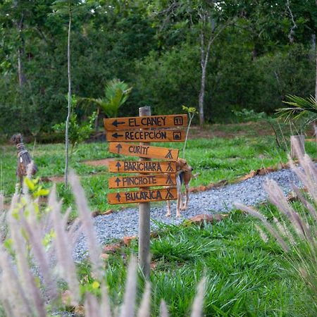 Nativo Glamping Hotel Barichara Buitenkant foto